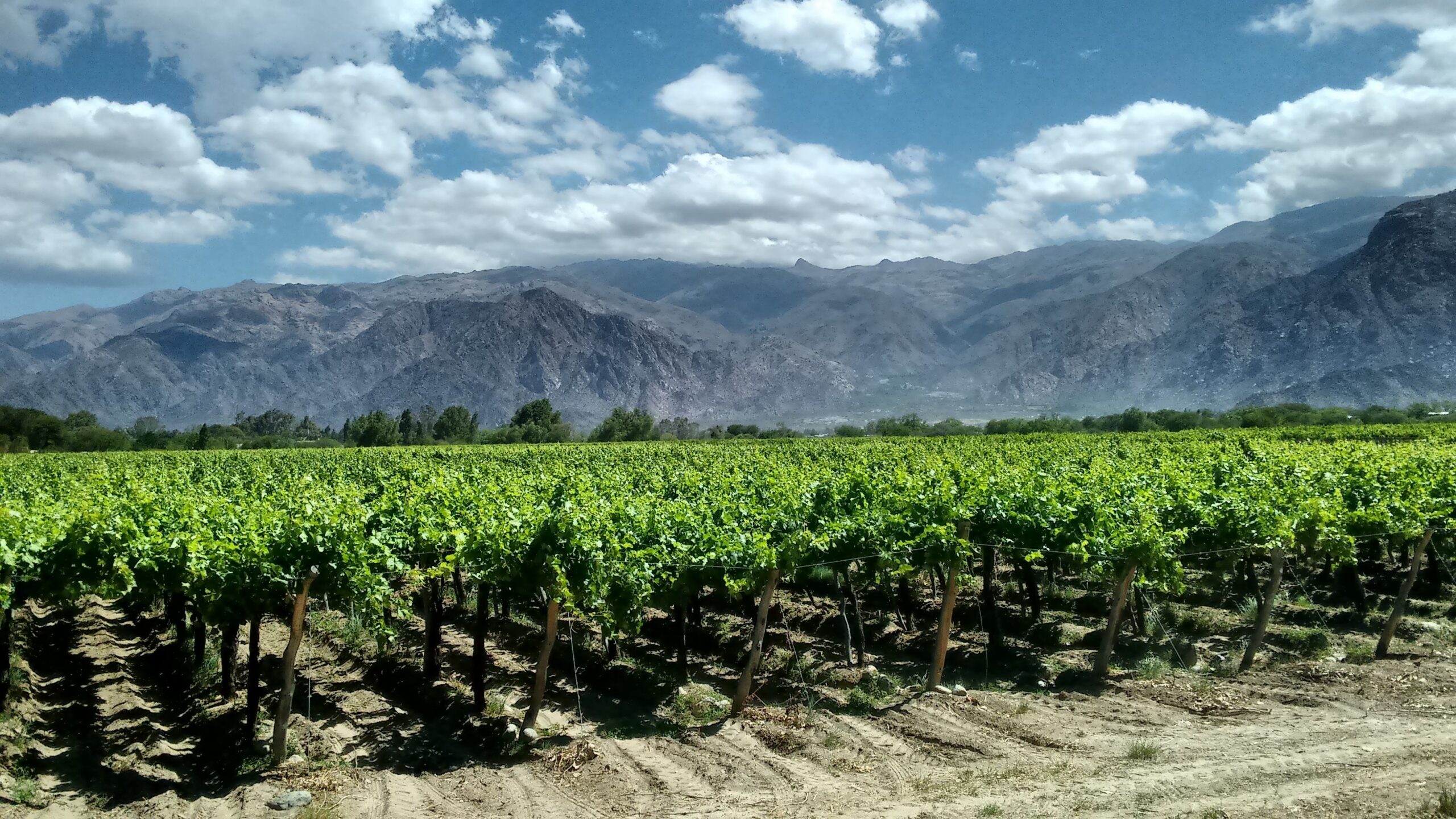 Cafayate, the Land of the Sun