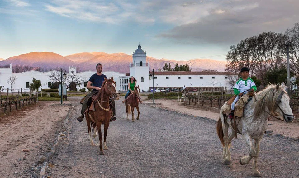 Postales Norteñas, entre Valles y Viñedos 