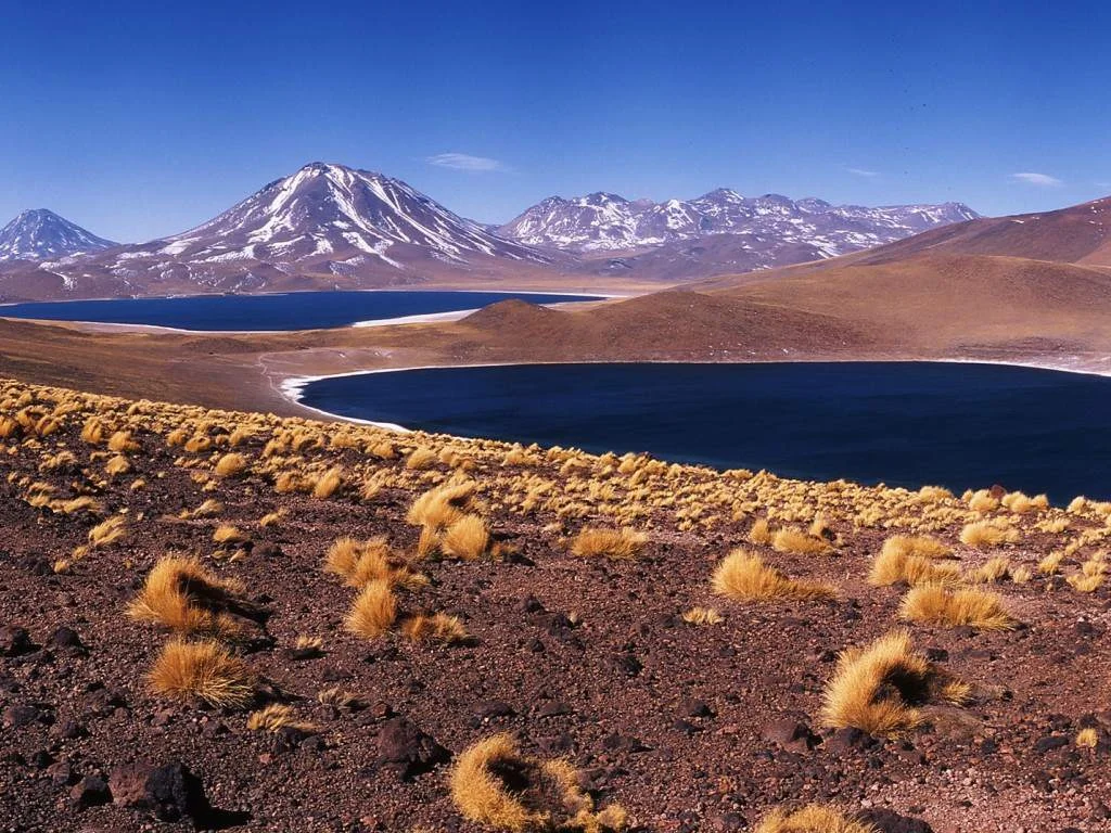 Between Deserts and Salt Flats