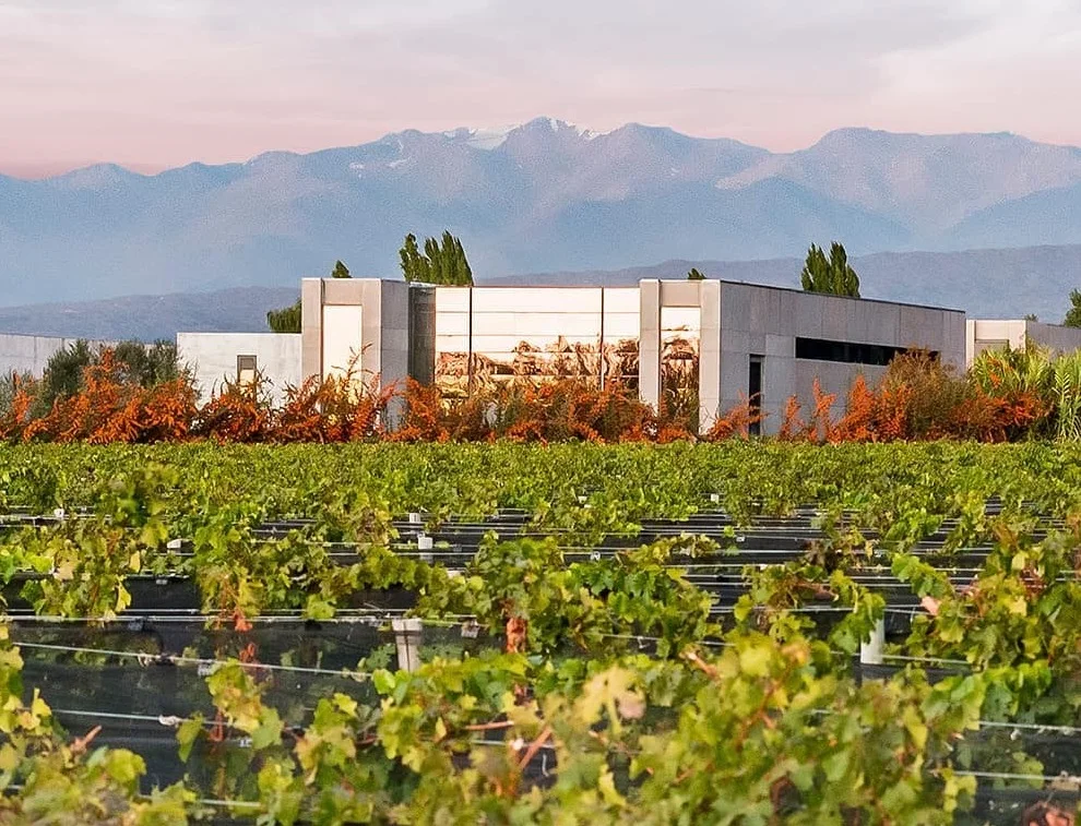 Mendoza: The Wine Roads