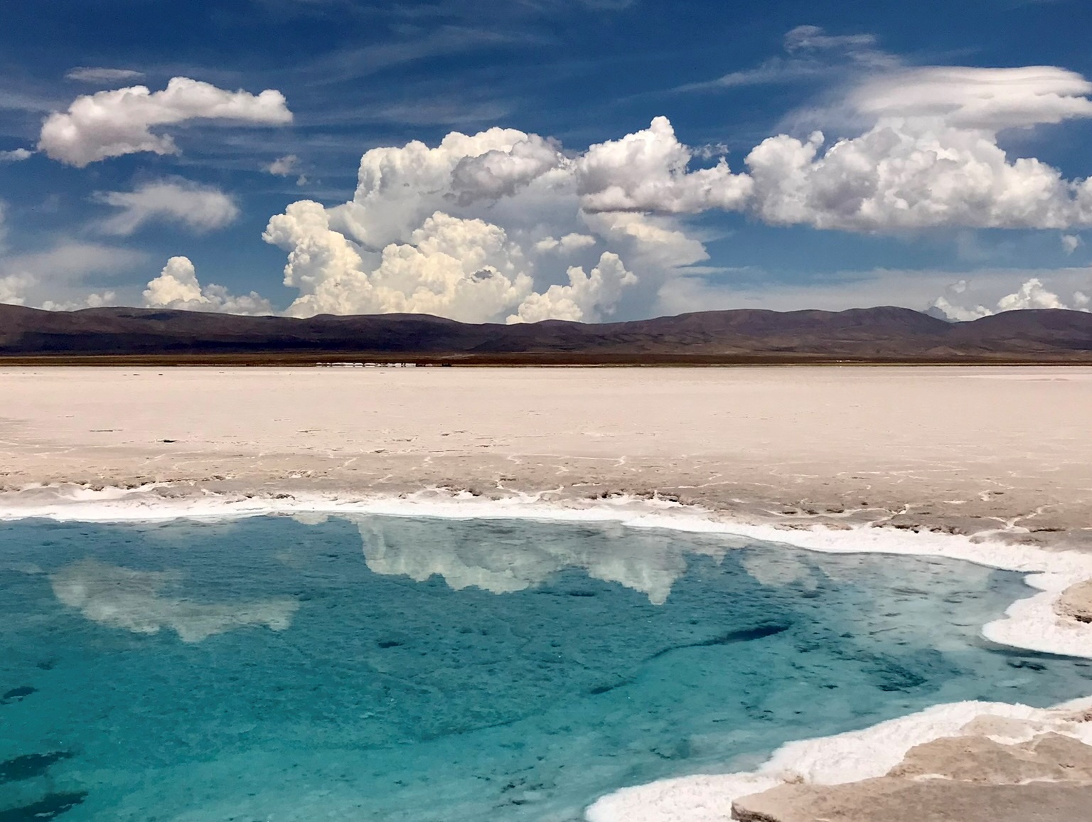 Between Vineyards and Salt Flats