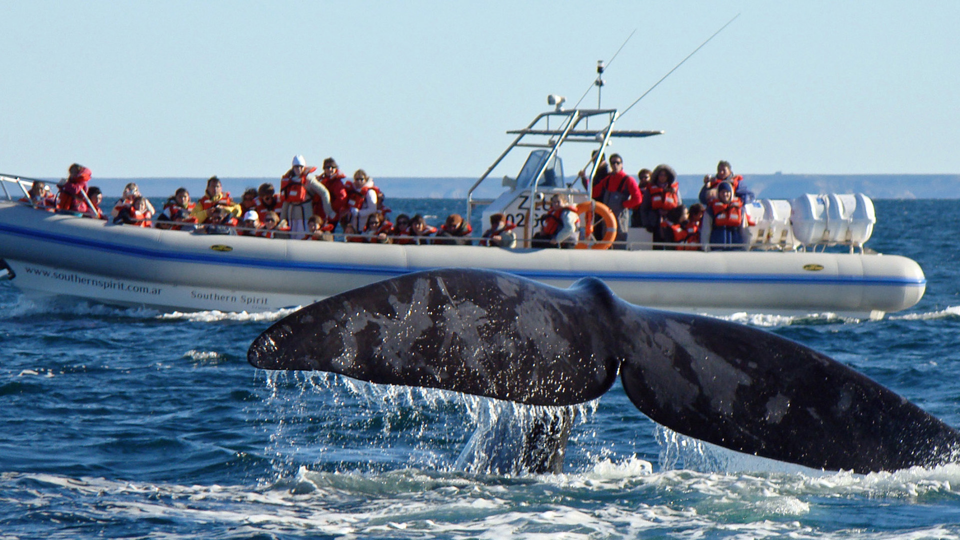 Among Lakes, Glaciers and Whales