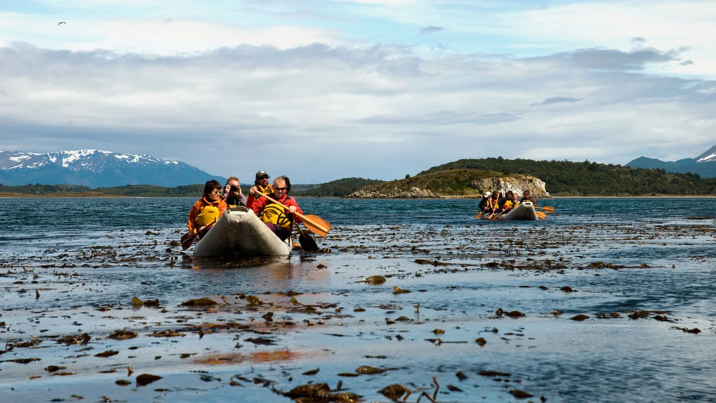 Ushuaia, Penguins at the End of the World