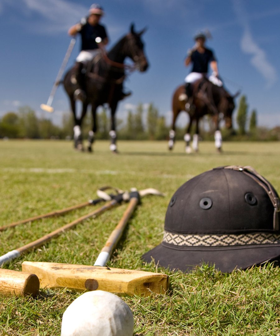 Argentine Polo Day