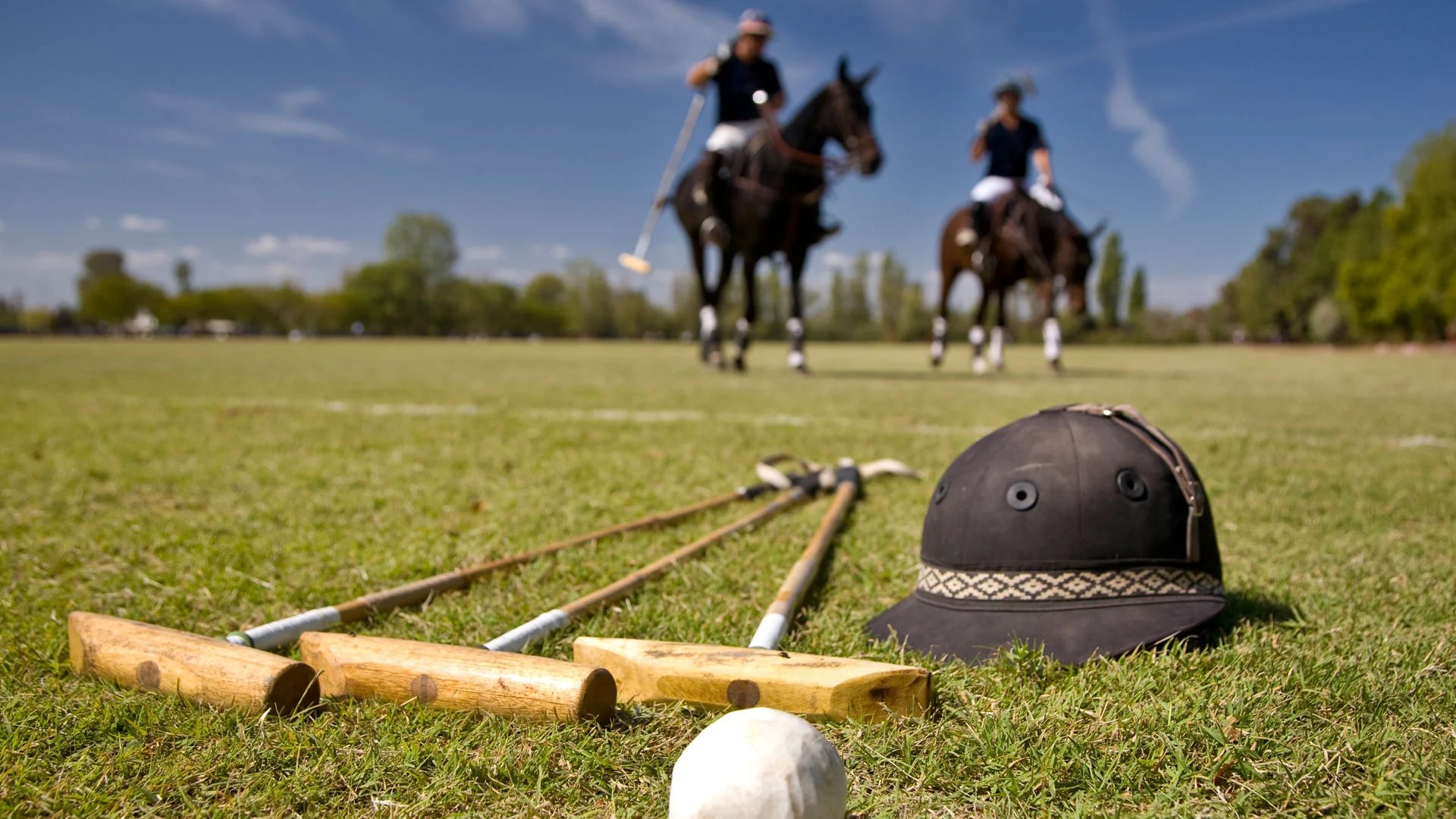 Argentina Polo Day