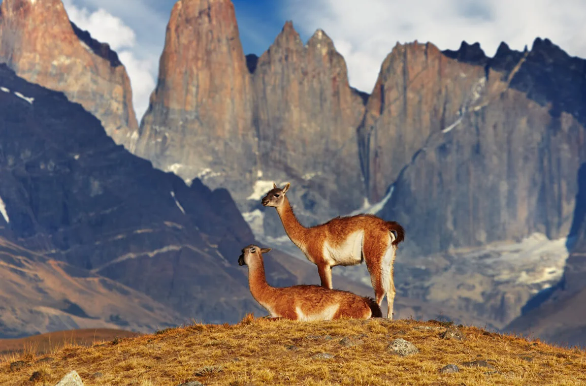 Torres del Paine, W Circuit