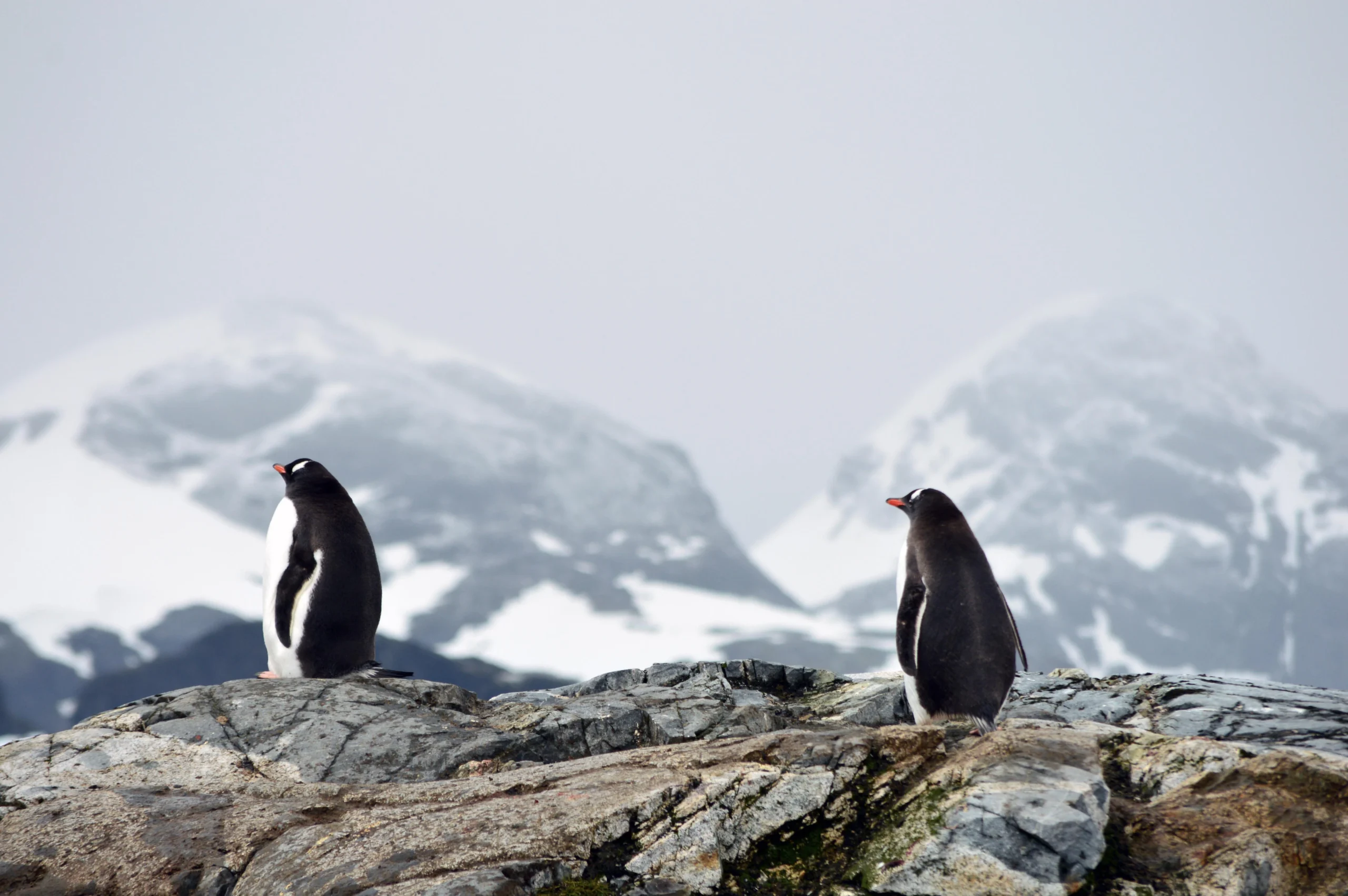 Ushuaia: Postales del Fin del Mundo