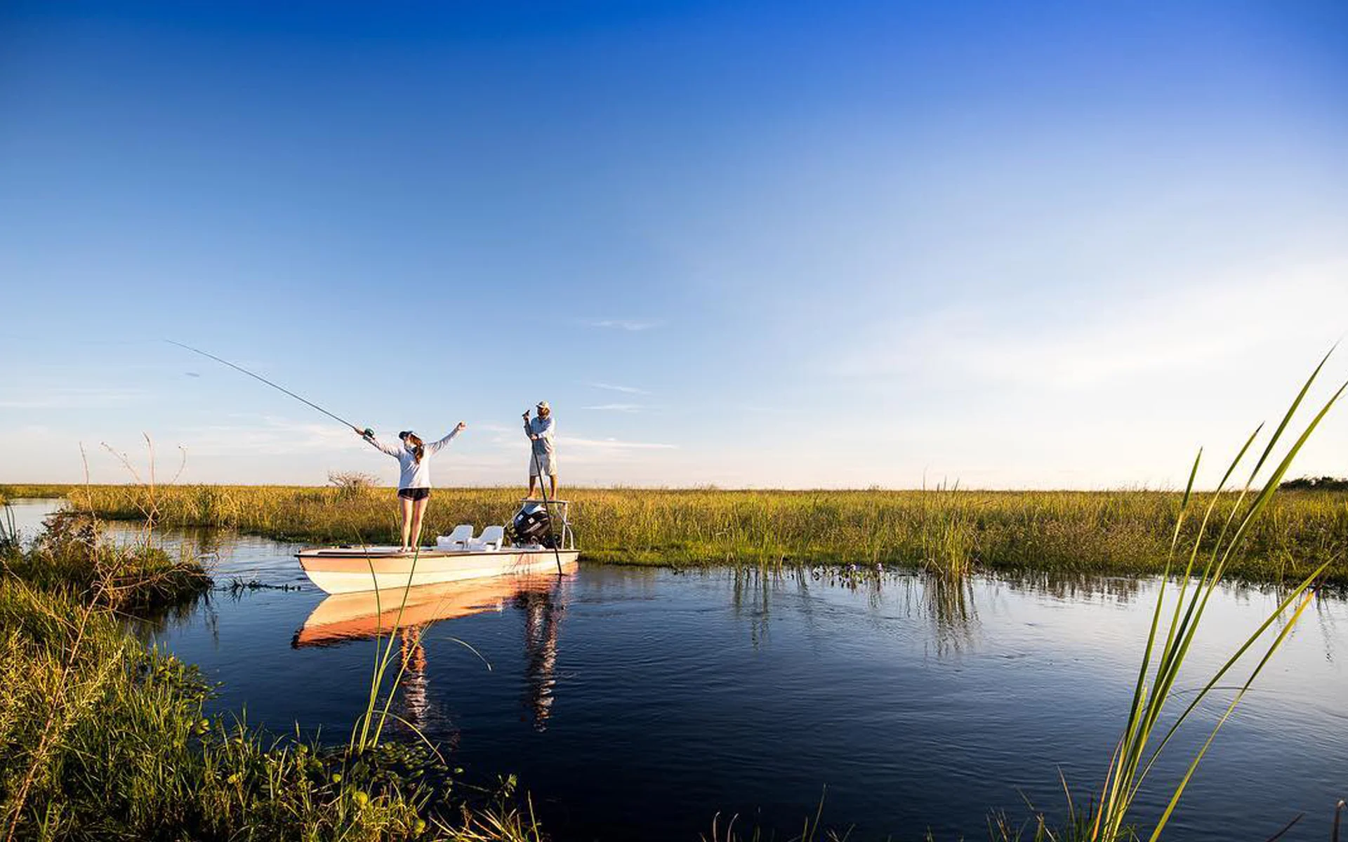 Iberá: In Search of the Great Dorado