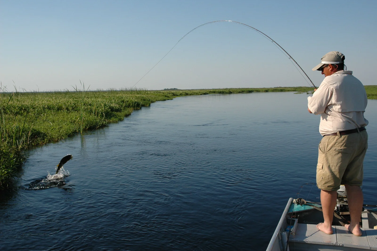 Iberá: In Search of the Great Dorado